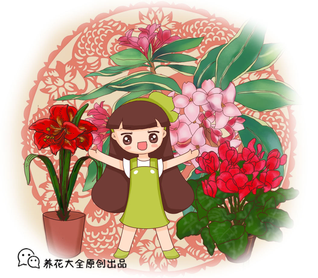 The most popular " year night is spent " , the Spring Festival raises casually, lively festival