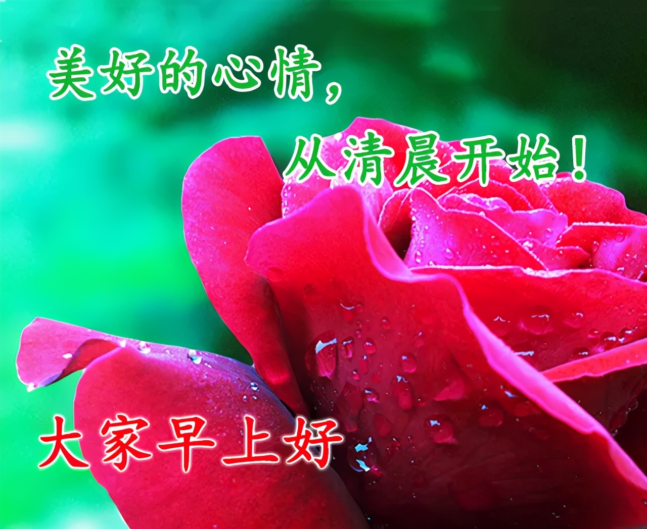 2021最新的早上好图片，最有特色的早上好动图图片