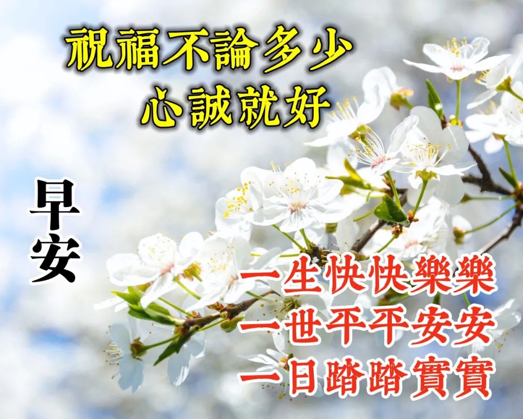 大气又精致的早安说说 唯美早上好图片大全