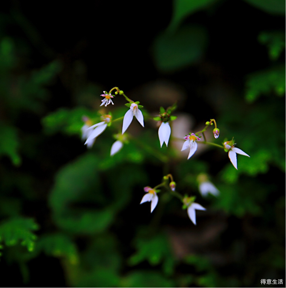 用了一个周末加两天休息时间，自驾去了一趟鄂