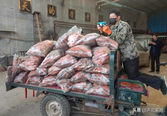 疫情下，100吨滞销胡萝卜被一公司收购捐献武汉疫区，事发赵县