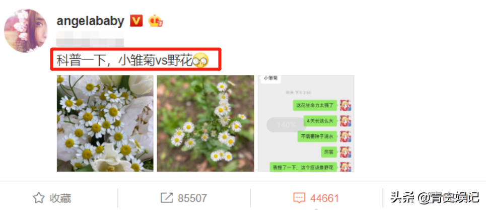 baby更博晒鲜花和聊天截图，大家却在关注，baby的社交头像