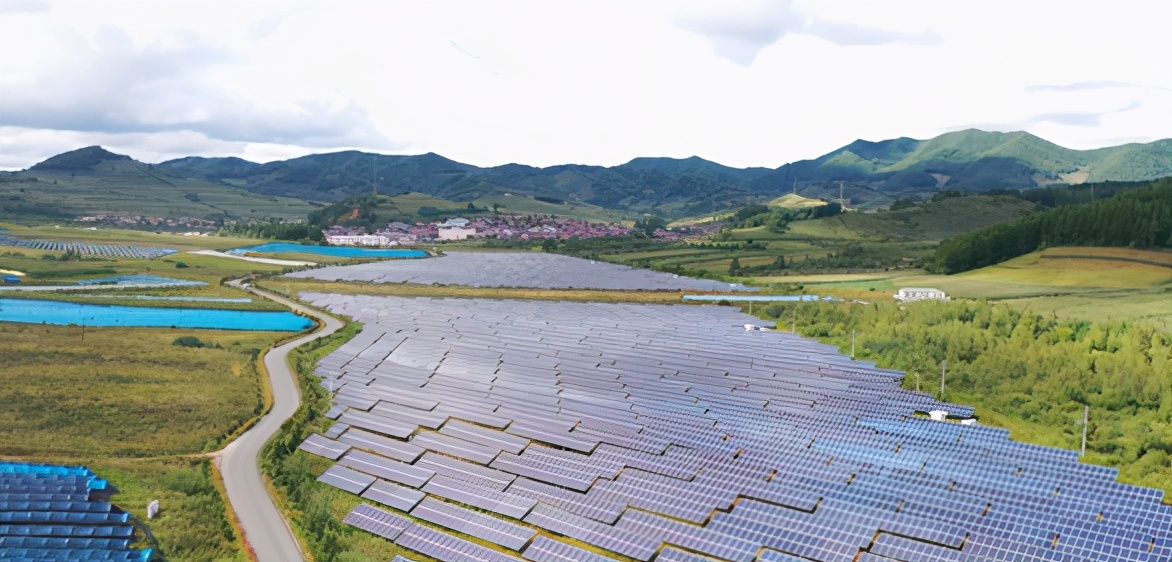 临江市桦树镇：绿色生态绘新景  乡村振兴谱新篇