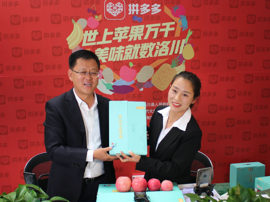 陕西省果业中心、洛川县政府联手拼多多打造洛川苹果专场直播