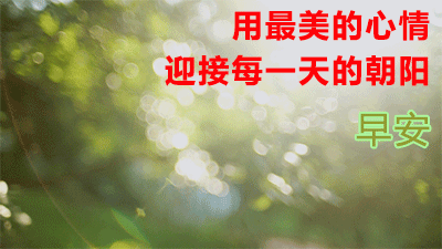 新版早上好问候图片清晨问候朋友，问候大家早上好暖心祝福句子