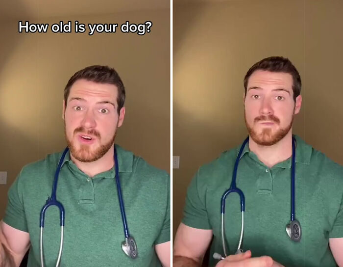名兽医：狗狗1岁等于人类31岁！附加州大学最新人狗年龄换算图