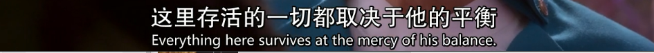 一集被骂烂，我替大神不服