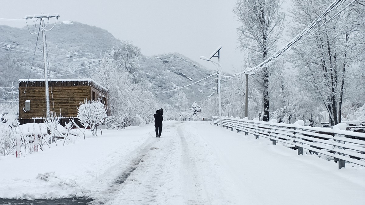 下雪啦！北京城区迎来2021年首场降雪，多图预警