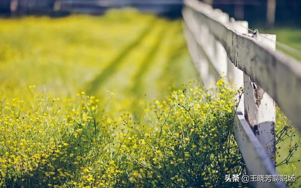 世界成功導師安東尼·羅賓斯曾說：欲成大事者，絕不讓壞情緒糾纏