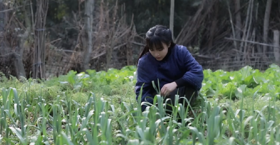 投资李子柒！抖音电商要有大动作