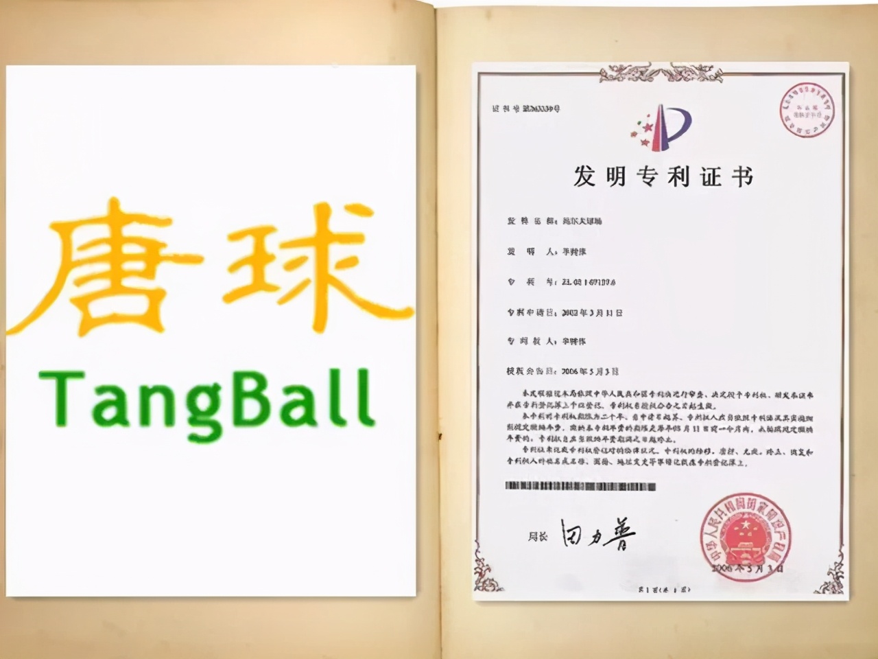 国情之下孕育出的这个体育地产新物种，竟可一地三用