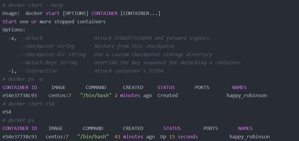 Docker实战006：docker容器使用详解