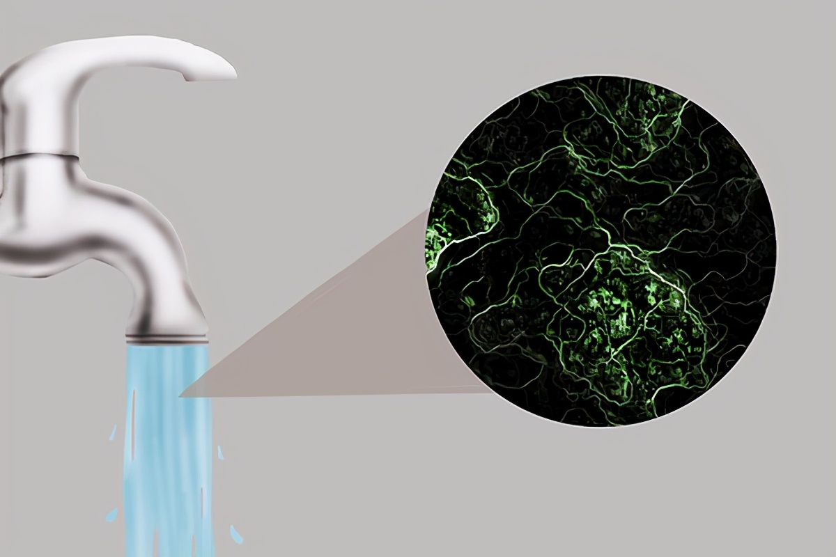 肚子經常傳來咕咕的響聲，放屁也多，和什麼原因有關？ 如何調理？