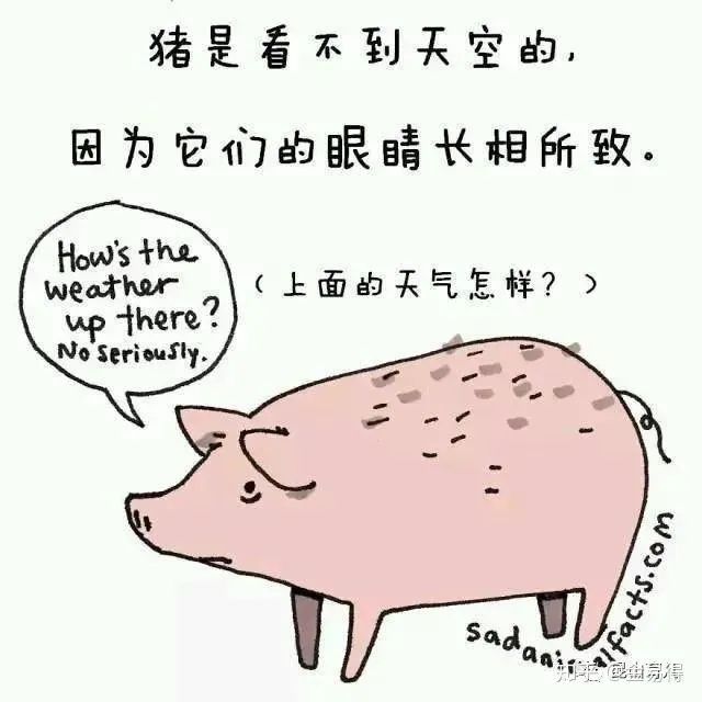 30個(ge) 有趣的科普小星空体育官网入口网站，你知道幾個(ge) ?