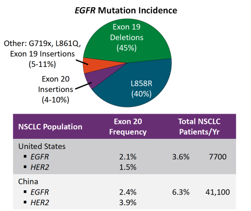   “EGFR抑制剂，是上帝赐给东方人的礼物。”  这句感慨最初来自欧美的专家。EGFR突变在欧美非小细胞肺癌患者中仅占