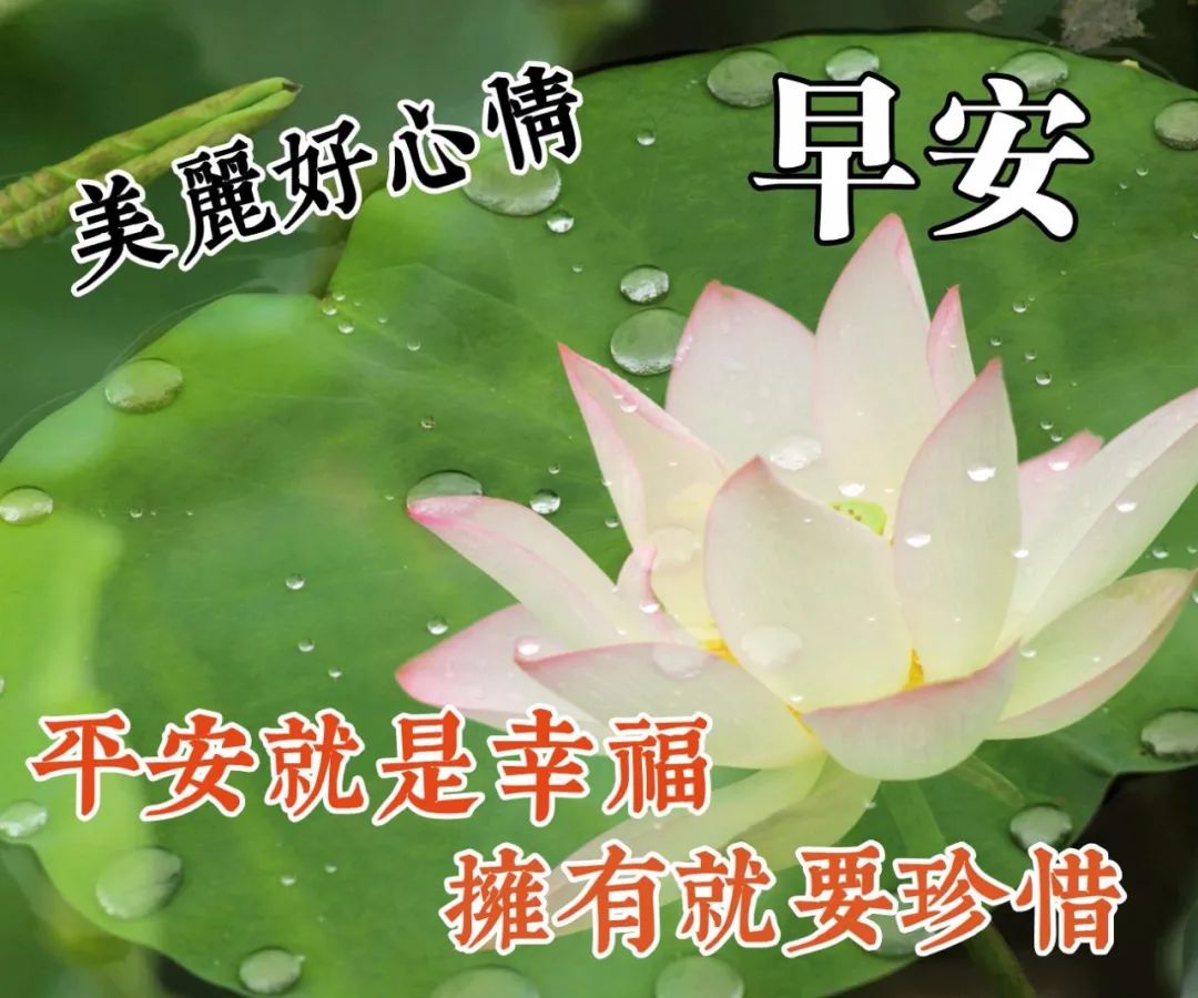 大气又精致的早安说说 唯美早上好图片大全