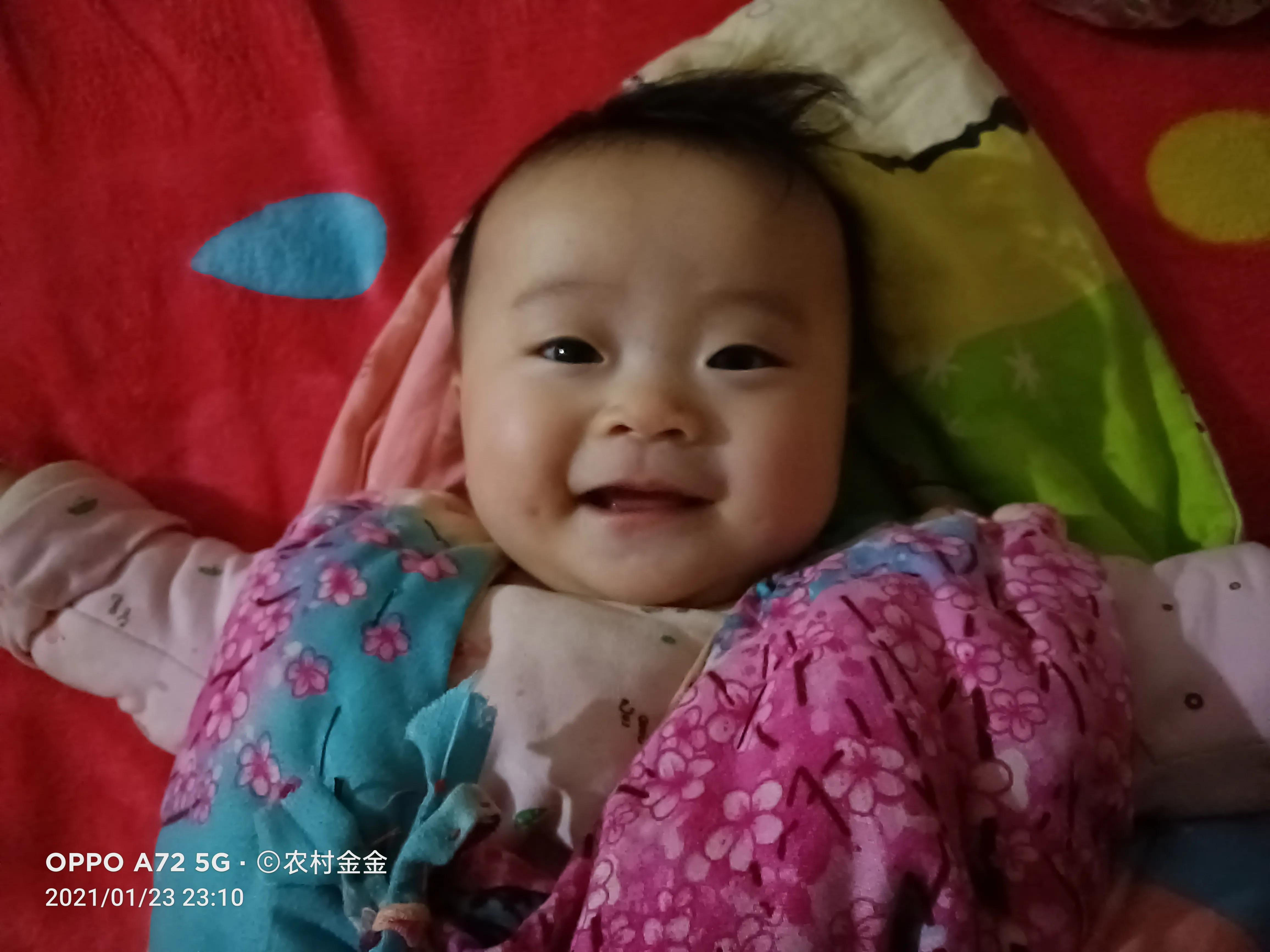 写给新手小白，如何对待自媒体