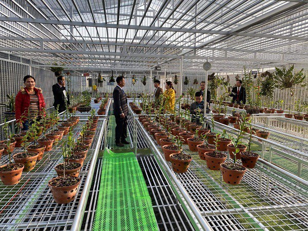 男子当了25年木匠一直贫穷，6年前因种植稀有兰花成亿万富翁