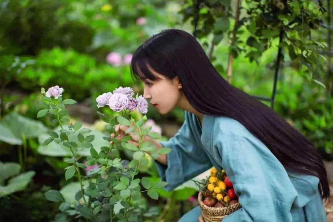 记者采访网红李子柒被怼是什么原因,李子柒是个怎样的人