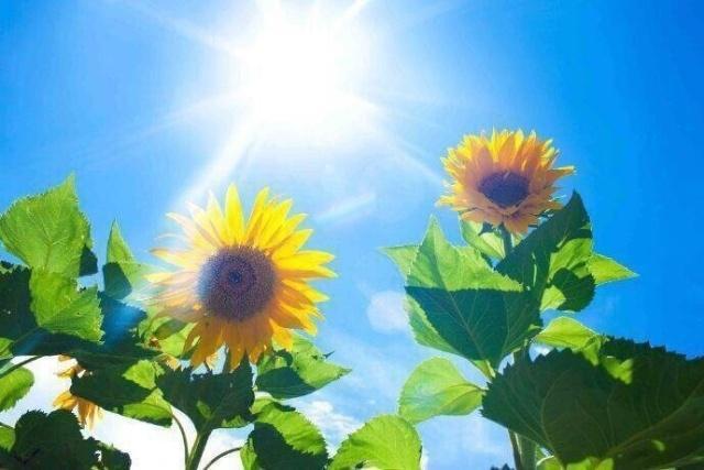 早晨最暖心的问候语 2021年最火的早安句子图片