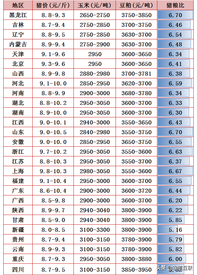 5月饲料连涨2波，猪价跌回“原形”，养殖户“活路”在哪？