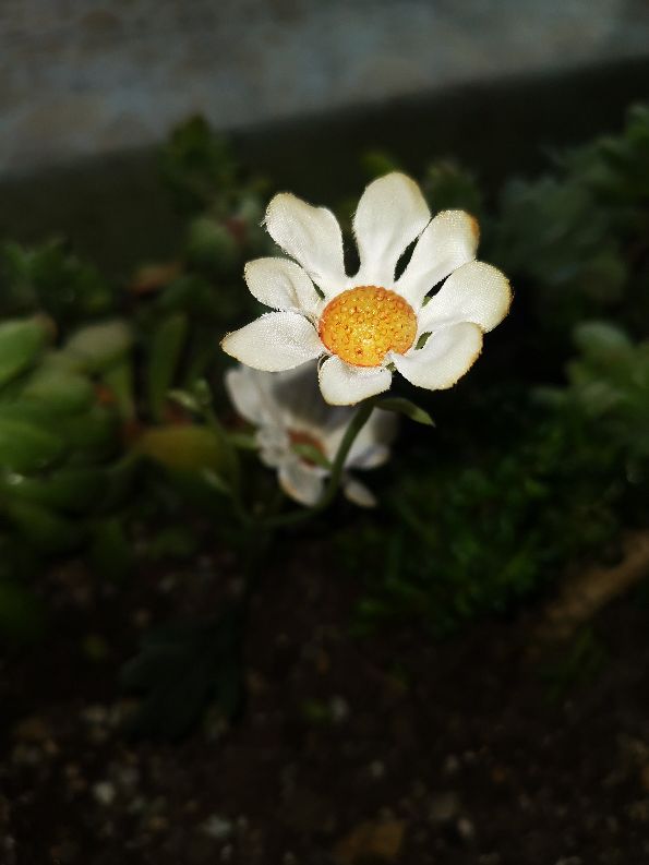 华为mate20使用两年的体验