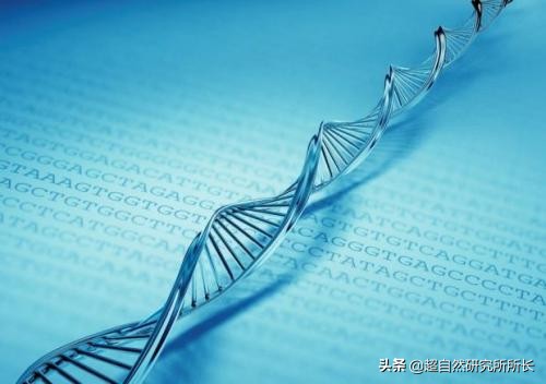 麥田怪圈竟然是假的？究竟是人為還是某種未知的傑作？