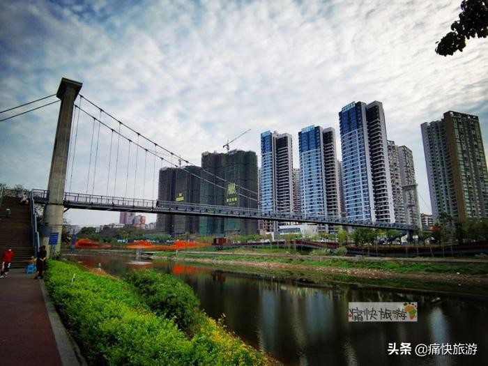 世界水日丨保护母亲河 让自贡因河而美