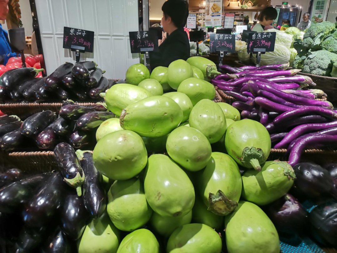 1300ƽ�վ�����20���򣡰�����������������ߵĵ���֮·