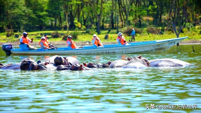 干货|第一次去肯尼亚怎么玩？经典玩法、路线大盘点！