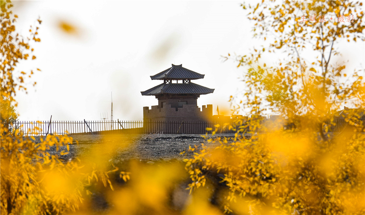 ��һ����˵�����������ȥ���ؾ����������鵽��