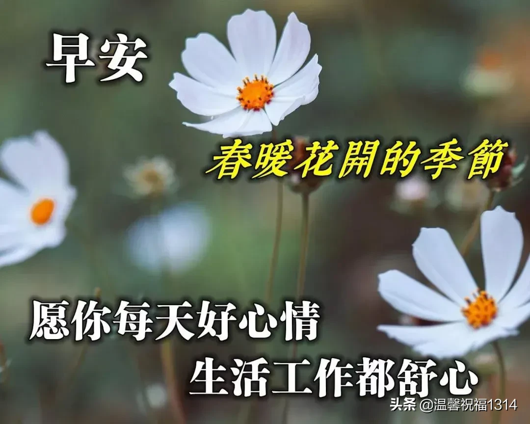 早上好唯美问候语 早安祝福语漂亮图片