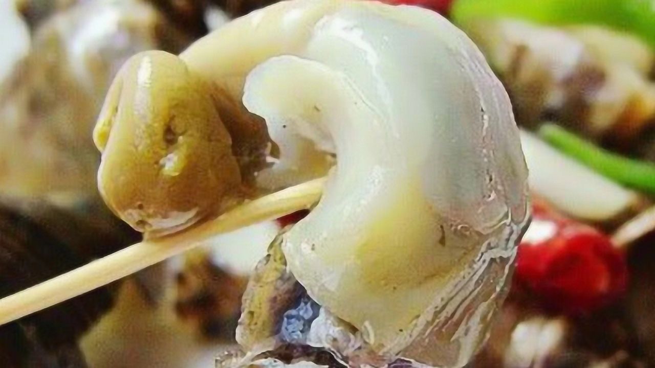 海螺的“尾部”到底是黄还是“屎”？很多人不