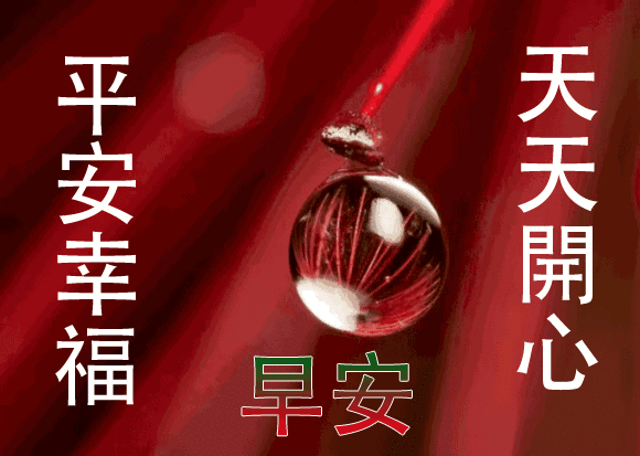 早上好动态图片带字和鲜花 早上好图片大全图片