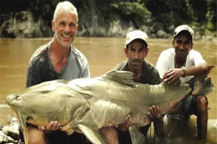 同是地球上的生物，为何动物不会对同类尸体感