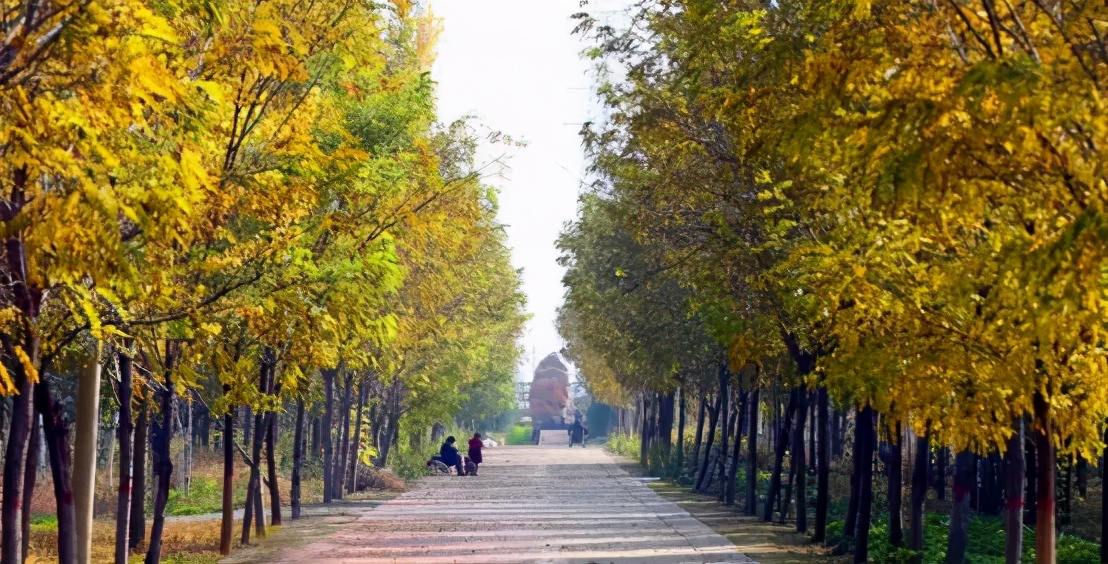 合陽(yáng)縣這些景區(qū)你知道多少,？