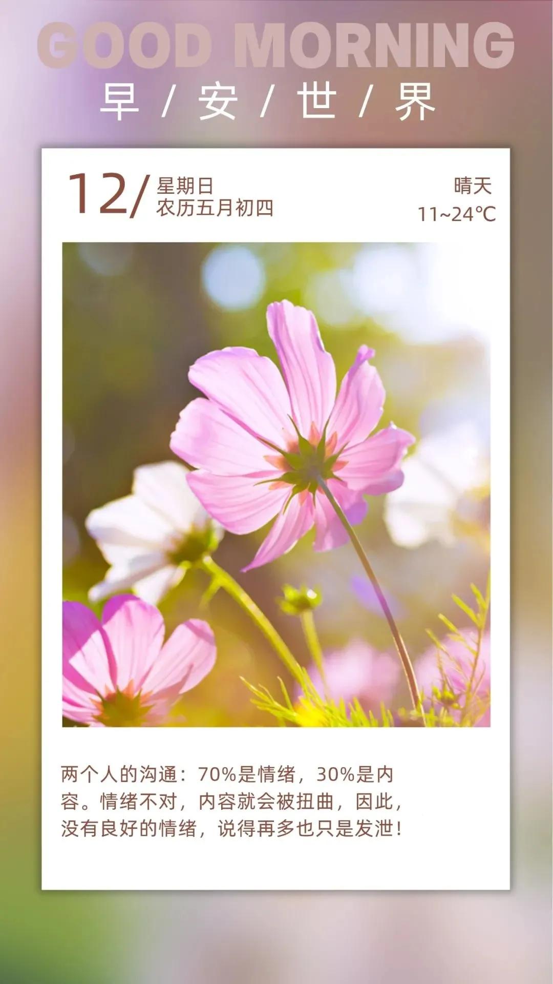 6月12日 早上好 美好的一天从我的问候开始 早安图片来啦 放飞的喀喀 Mdeditor
