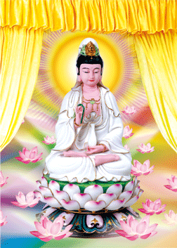 美丽|正月十九美丽的一天美丽开始，新的一年新的征程愿安好！