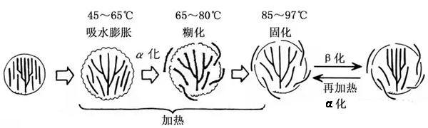 一分钟认识烘焙原料 | 淀粉