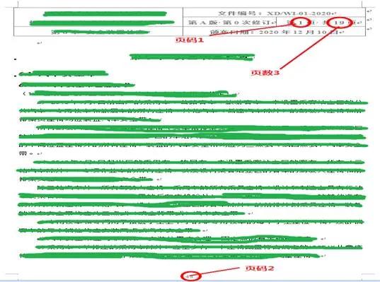 Word中页眉页脚自动插入不同编码规则页码