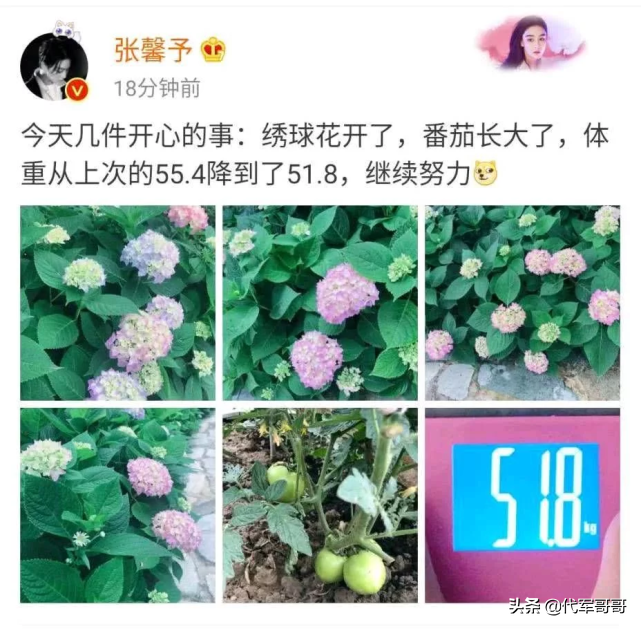 盤點(diǎn)公開曬體重的八大美女明星，你最羨慕誰？