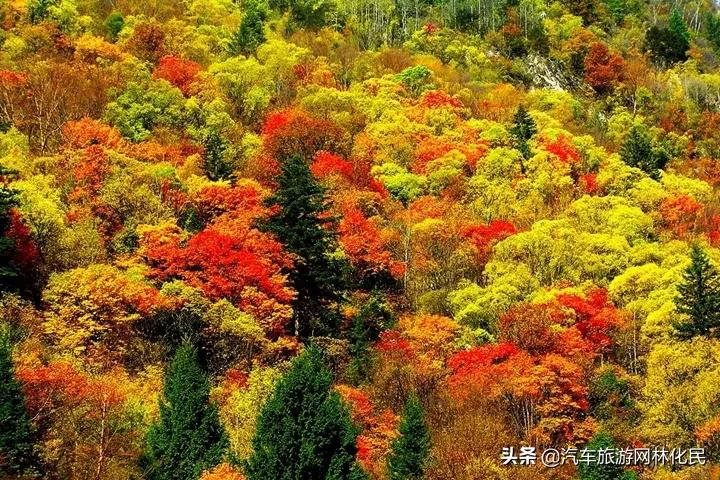 九寨沟、牟尼沟、都江堰、熊猫乐园双飞6日游