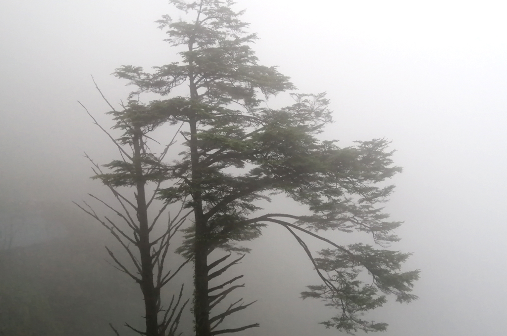 我去过两次三清山，差别太大了（附攻略）