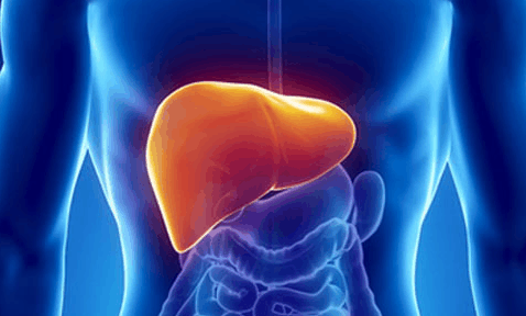 肝臟不好看4個地方就知道，做好5件事情，養肝護肝很輕鬆