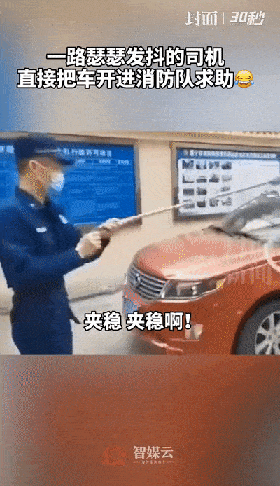 挡风玻璃上现2米大蛇，司机一顿操作，网友：你