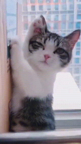 搞笑gif神评：看见你掉下去我就放心了