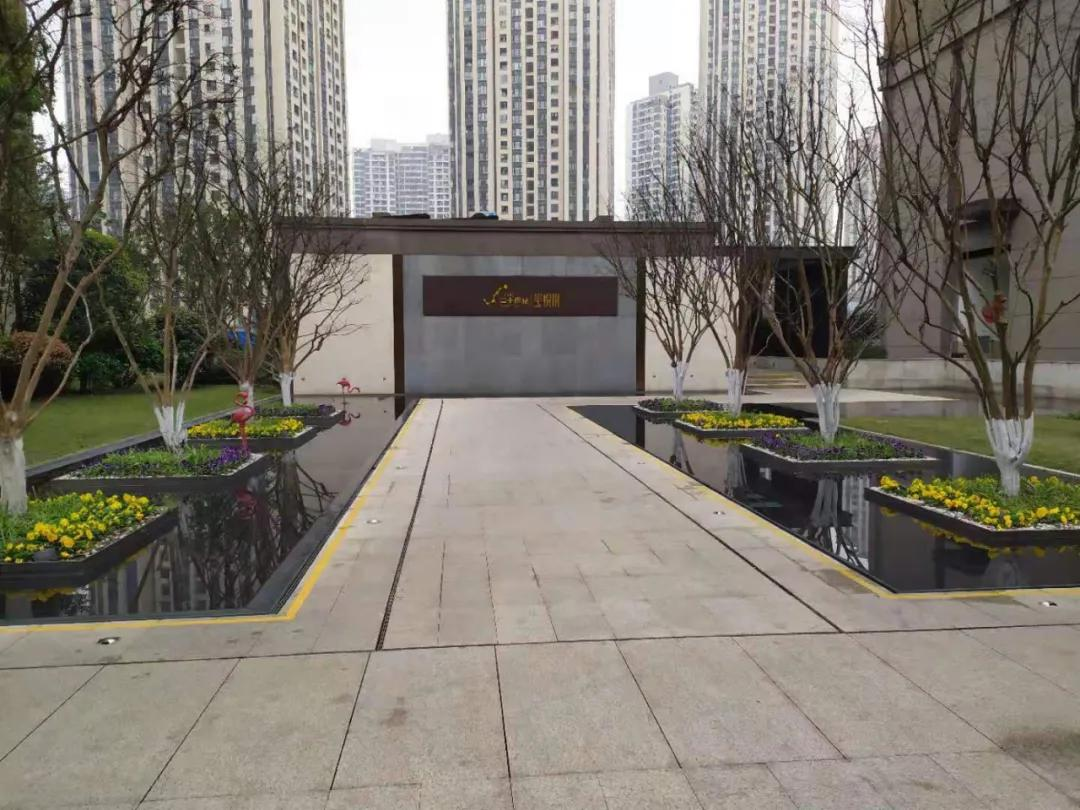 辞旧迎新|工地实拍:业主现场参观在施工地丨水电阶段