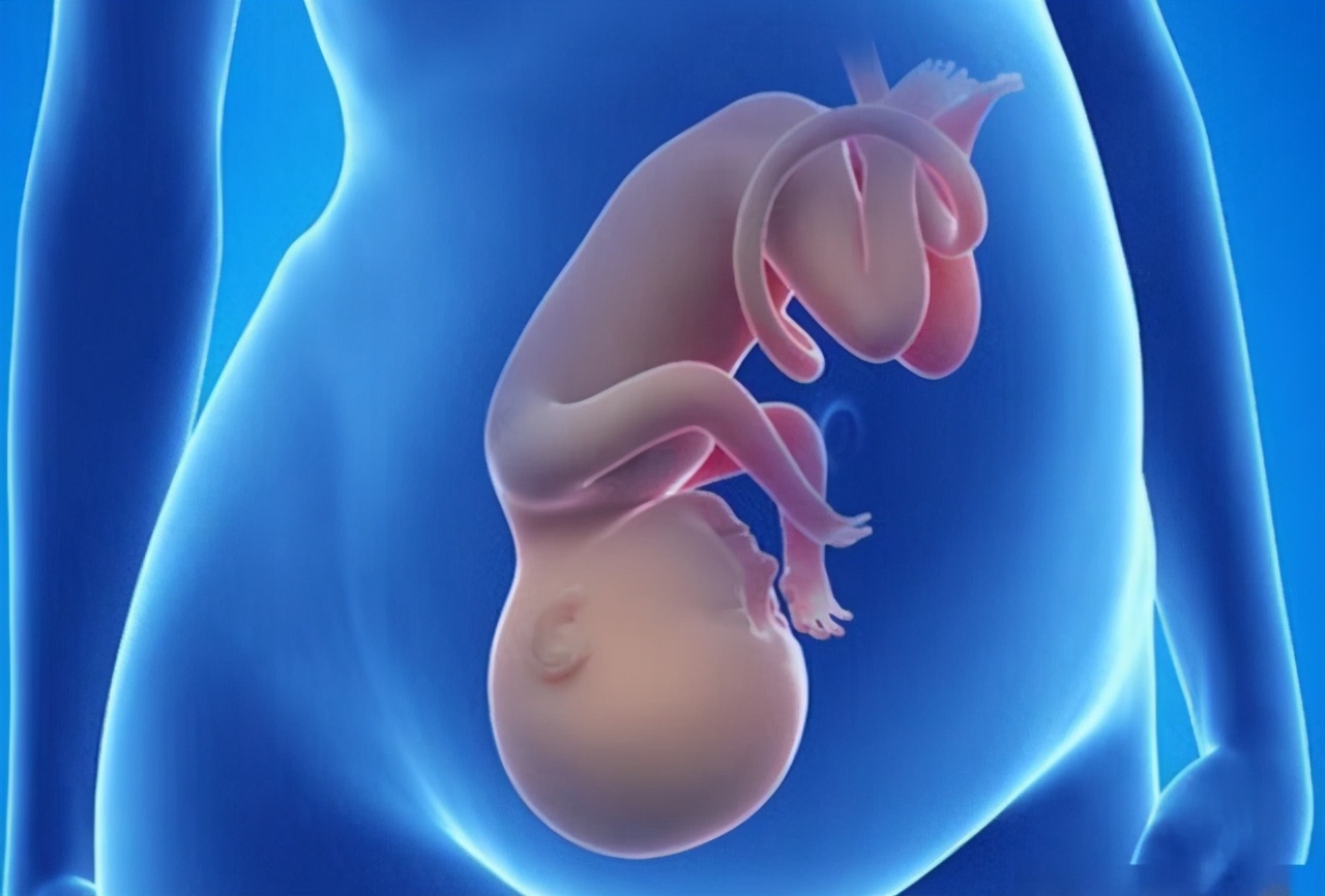 到了这个孕周，胎儿“胎位”基本固定，以后再纠正就难了