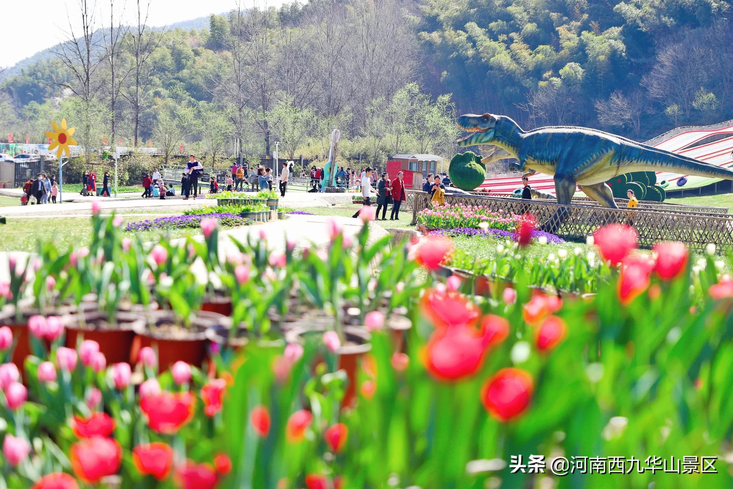 三月相約西九華山，共賞百萬郁金香，嗨玩草原親子樂園！