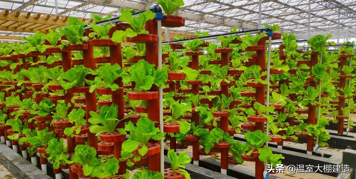 无土立体栽培的几种类型